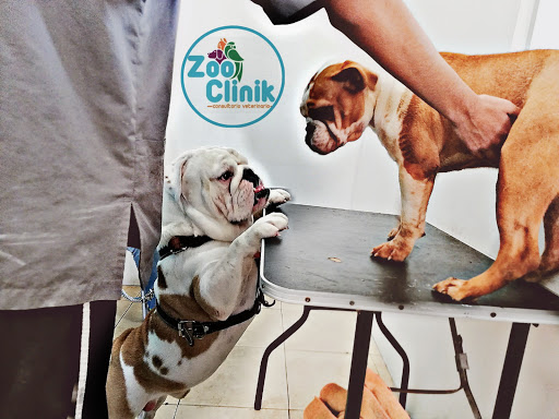 Hospital Veterinario de Especialidades + ZooCliniK