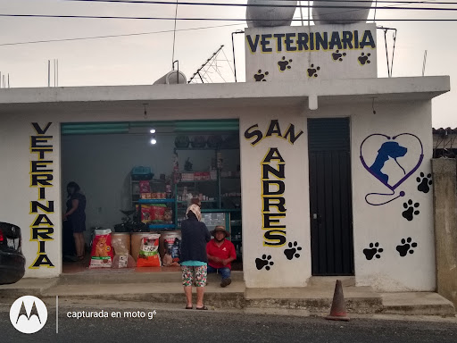 Veterinaria San Andrés
