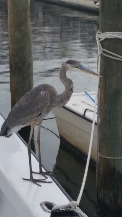 Photos of HarborWalk Charters