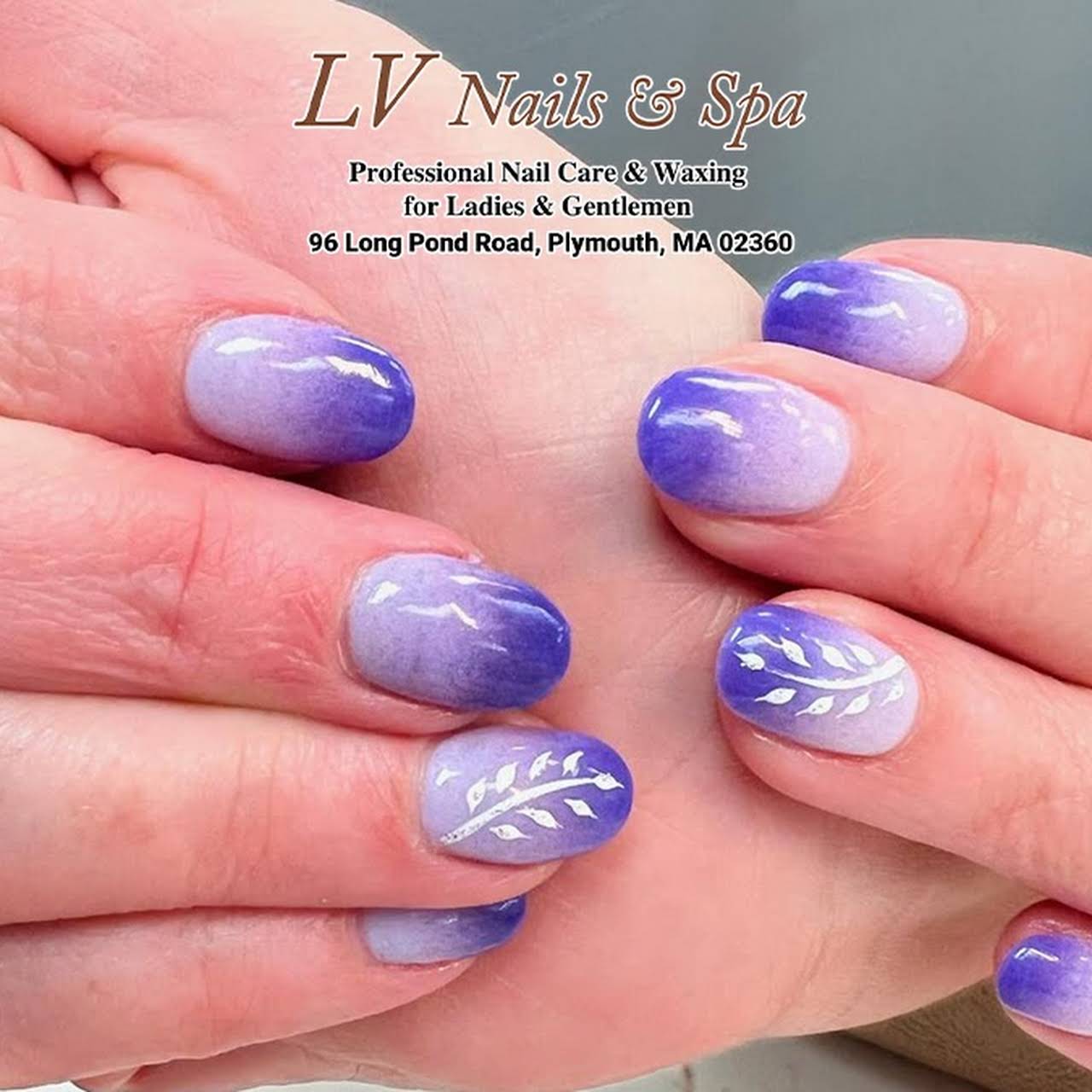 Nail Salon 02360, LV Nail & Spa