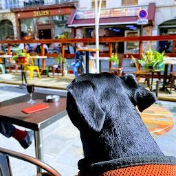 Photo n°46 de Le Saint Denis à Paris (Café)
