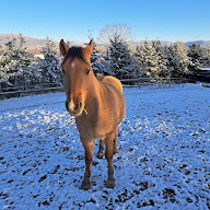 Les Sabots dans l'eau à Lachapelle-sous-Chaux