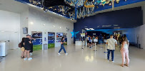 Estádio do Dragão Número de telefone