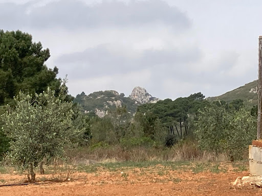 Pinaeta de la Vinya-Vella - Thumbnail