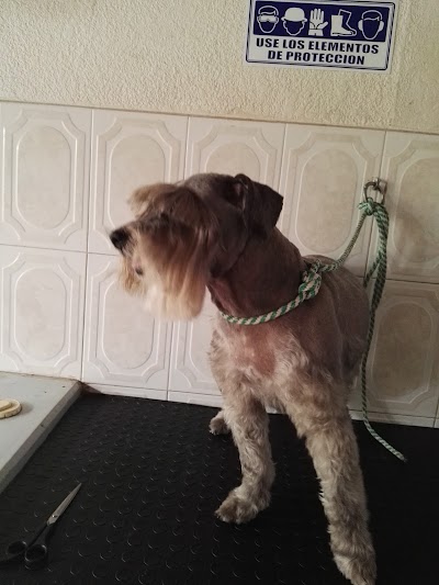 Photos of Cl&iacute;nica Veterinaria Bovican
