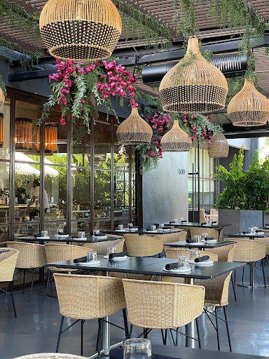 Paloma Venice