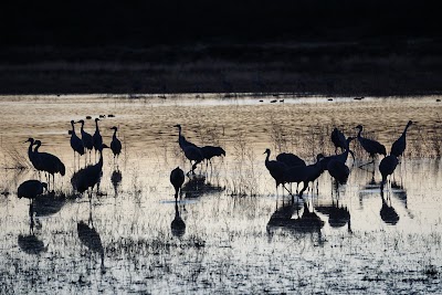 Bosque Del Apache National Wildlife Refuge Visitor Center