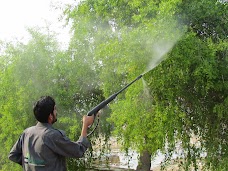 Fumigation Services (ECO Services) karachi