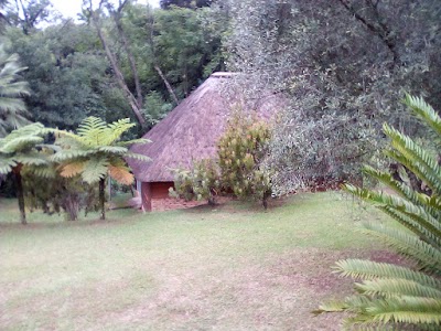 Photos of Bananien Lodge