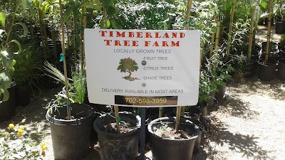 Photos of Timberland Tree Farm