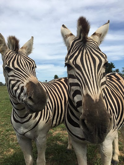 Tennessee Safari Park