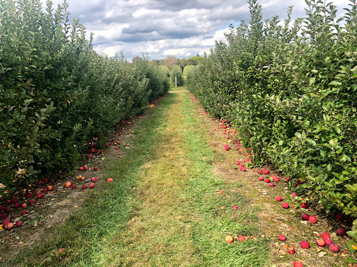 Terhune Orchards Pick Your Own Apple Orchard Gallery - United States