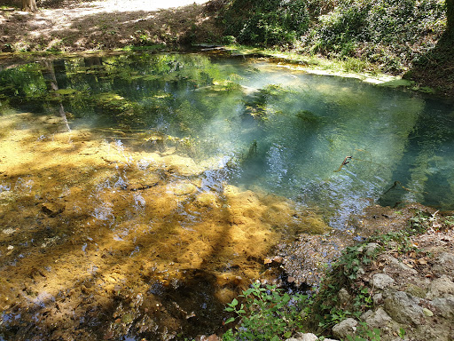 La Solfa - Visual