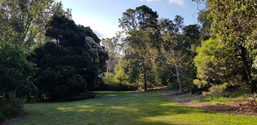 Blackburn Lake - Whitehorse Heritage Trail Gallery - Australia