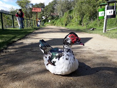 park