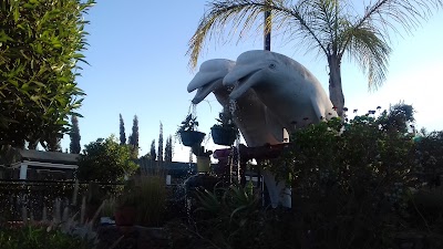 Photos of Winxo