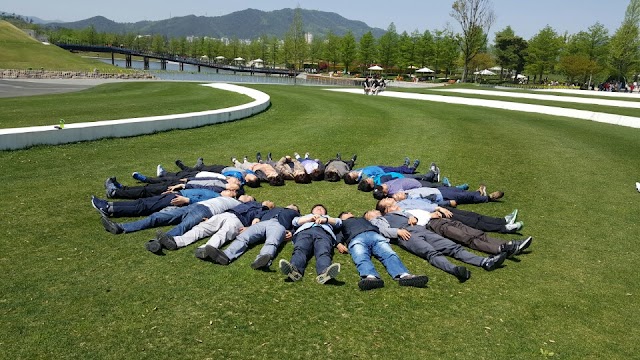 Suncheon Bay National Garden