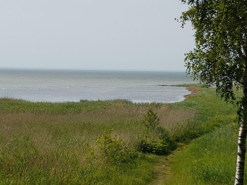 Ajalooline Roosiaia puhkepark