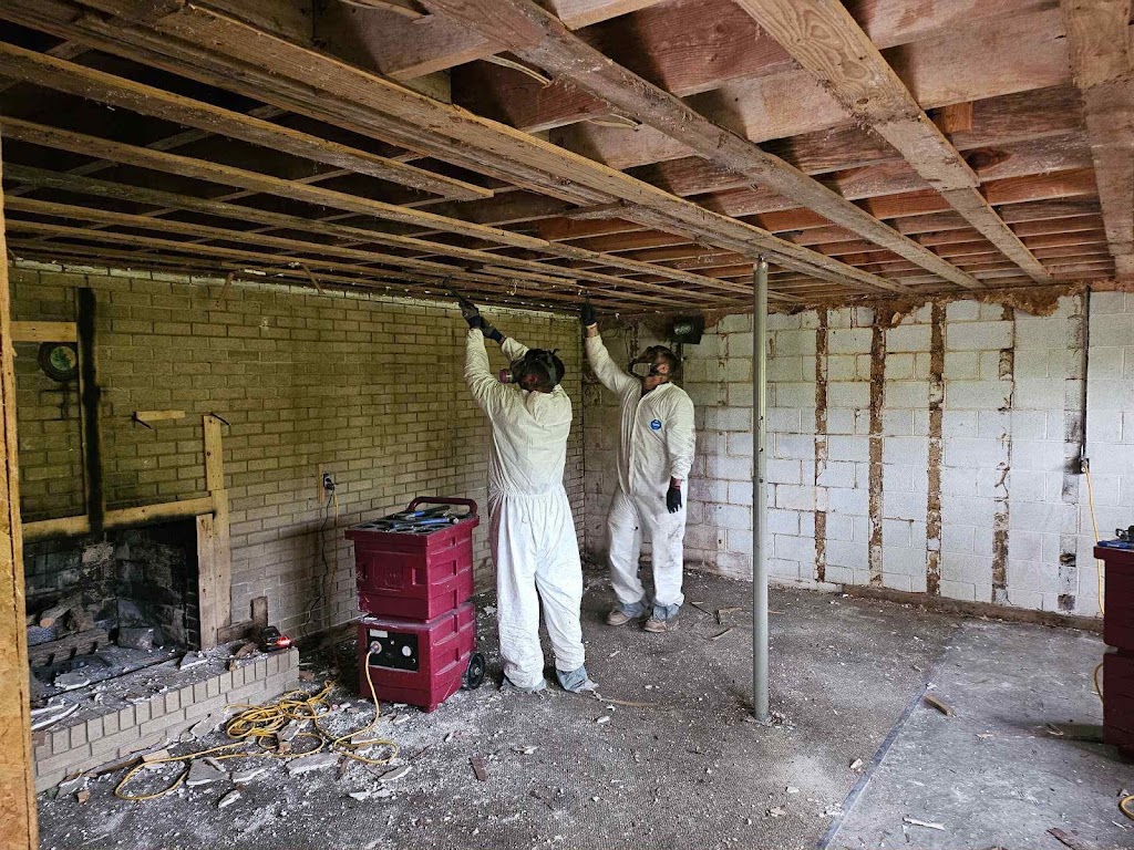 Mold Patrol photo