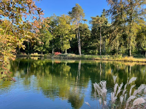 Heilwald Bad Lippspringe - Thumbnail