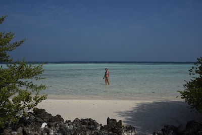 Photos of Asdu