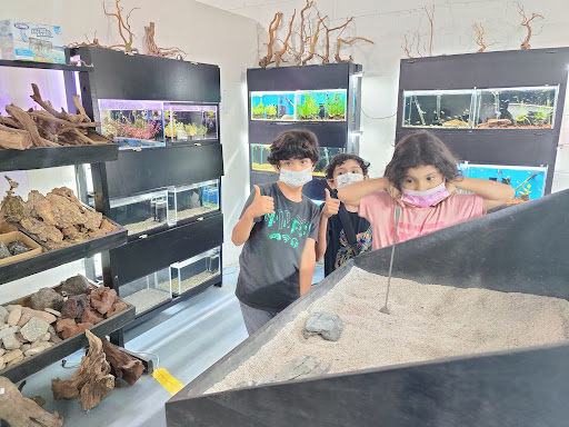 Acuario Green Aquascape - Thumbnail