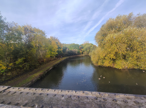 Grandpont Nature Park Gallery - United Kingdom