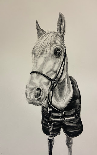Mae Annie Norman pet portraits Gallery - United Kingdom