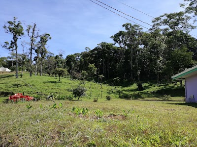 Photos of Caba&ntilde;as El Bosque
