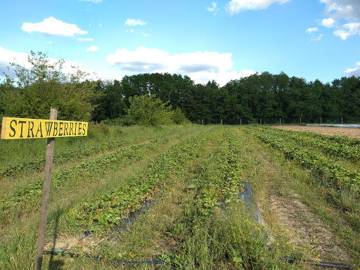 College Settlement Camps-Headwaters Of Pennypack Creek - Thumbnail