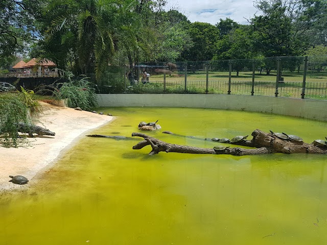 Brasilia Zoo