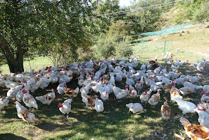 Photo n°3 de Les Volailles terre de Toine à Pierlas (Ferme)