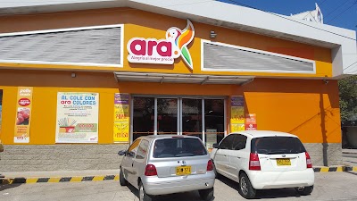 Photos of Ara stores Zoologico
