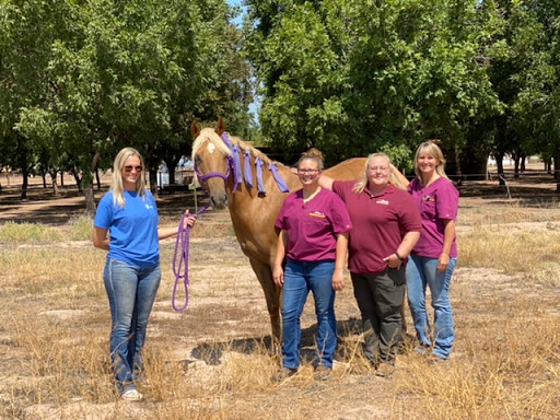 Tularosa Equine Clinic LLC - Thumbnail