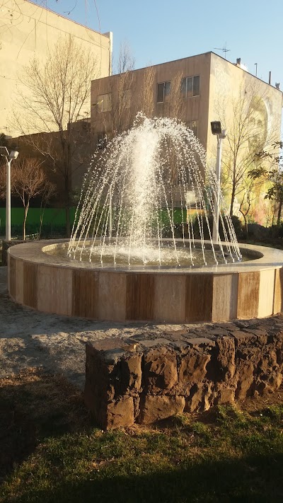 Photos of Shahid Avini Park