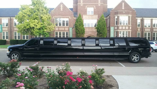 Clovis Limo - Visual