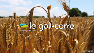 Photo n°1 de Le Gall - Corre / La Source Bretagne à Plouénan (Fournisseur de semences)