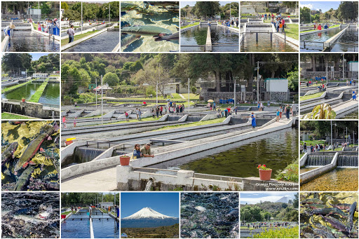 Granja Piscícola Xouilin