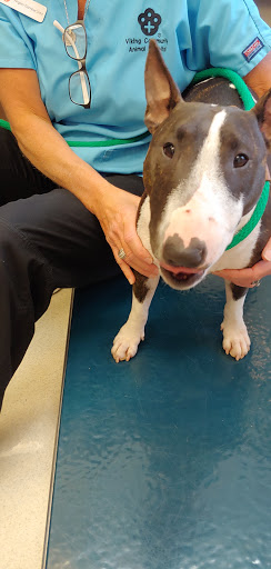 Viking Community Animal Hospital - Thumbnail