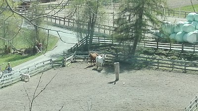 Photos of Himmelreich Alpenranch