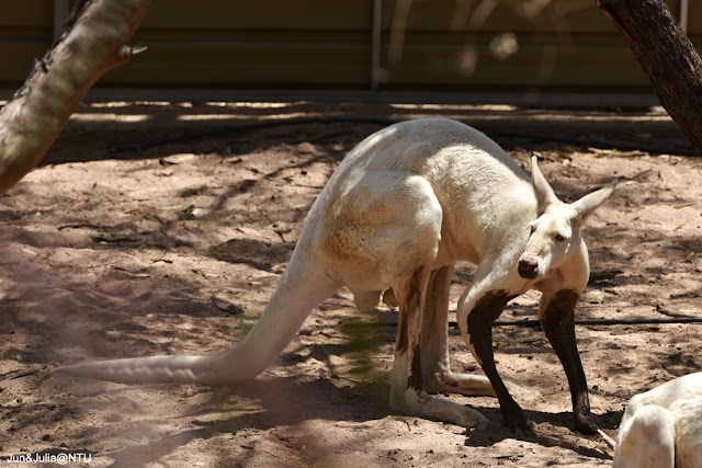 Wave Rock Wildlife Park