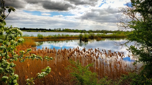 RSPB Ouse Fen Reserve