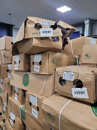 Nicu , Man with a Van