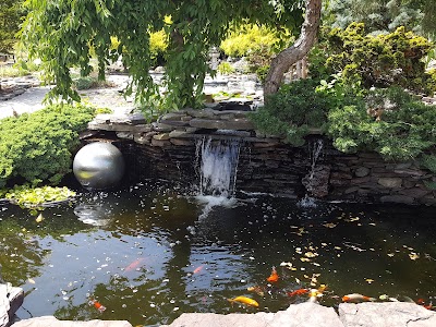 Water Garden & Koi Co