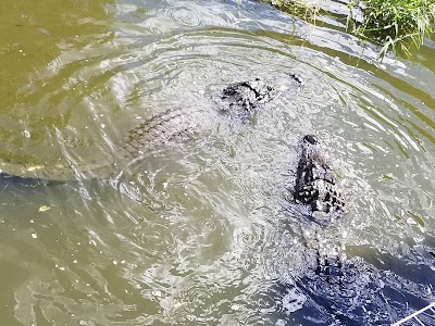 Gatorama Inc.