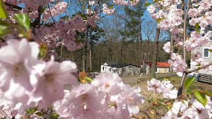 Photo n°22 de Camping D'hurongues à Pomeys (Terrain pour camping-cars)