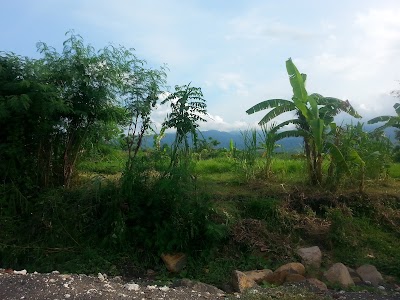 Photos of Villa Mahkai