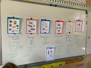 Photo n°14 de Chloé BIRON Diététicienne nutritionniste Grenoble à Saint-Martin-d'Hères (Nutritionniste)