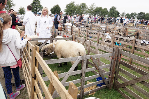 Driffield Agricultural Society - Thumbnail