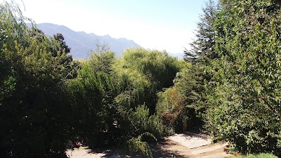 Photos of Camping Los Pilos